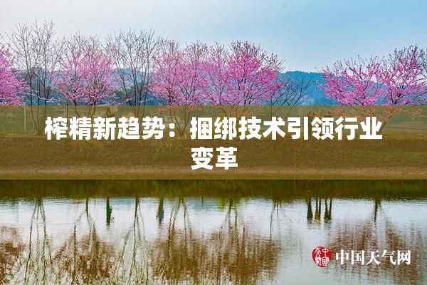 榨精新趋势：捆绑技术引领行业变革