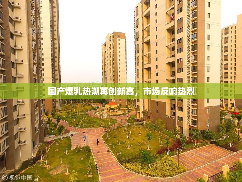 国产爆乳热潮再创新高，市场反响热烈