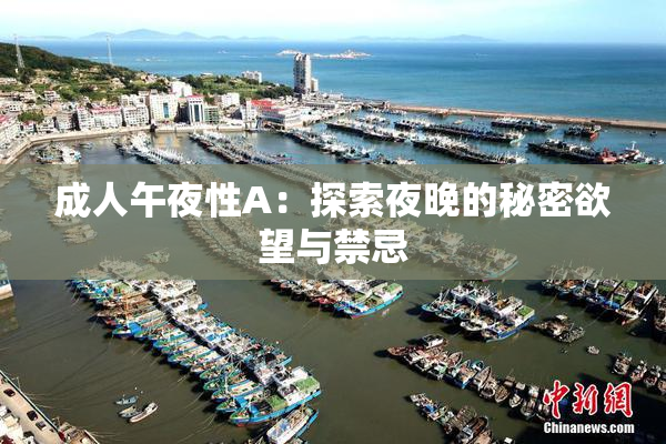 成人午夜性A：探索夜晚的秘密欲望与禁忌