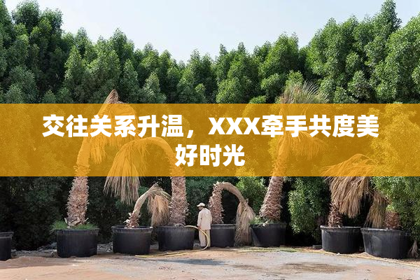 交往关系升温，XXX牵手共度美好时光
