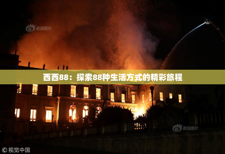西西88：探索88种生活方式的精彩旅程