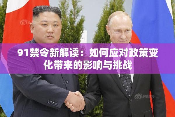 91禁令新解读：如何应对政策变化带来的影响与挑战