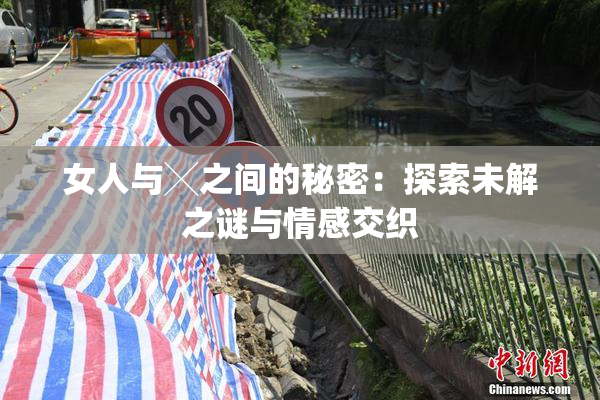 女人与╳之间的秘密：探索未解之谜与情感交织