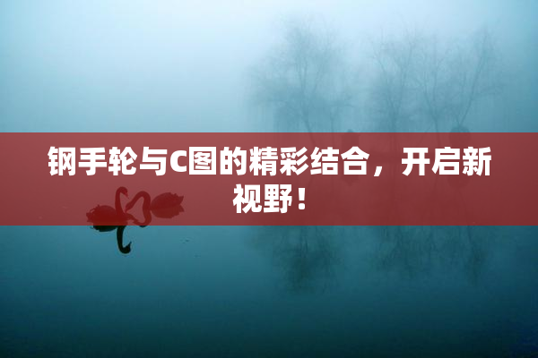 钢手轮与C图的精彩结合，开启新视野！