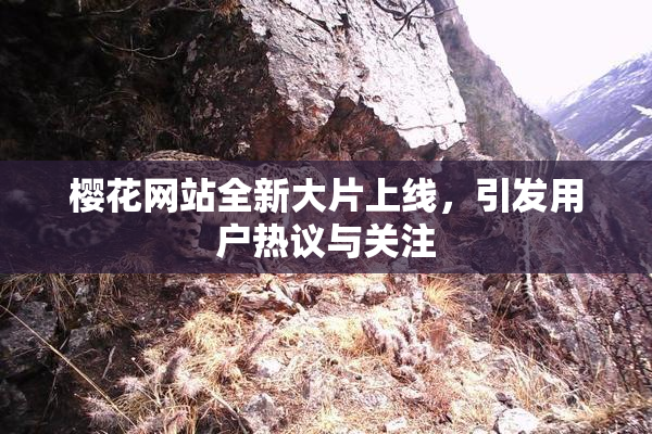 樱花网站全新大片上线，引发用户热议与关注