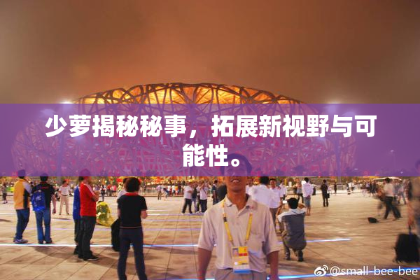 少萝揭秘秘事，拓展新视野与可能性。