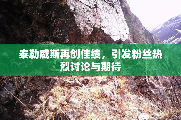 泰勒威斯再创佳绩，引发粉丝热烈讨论与期待