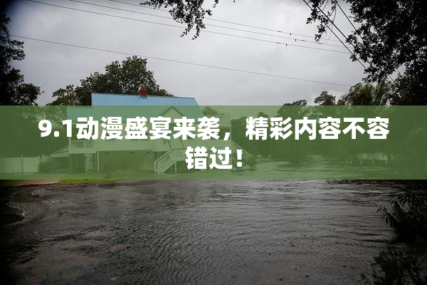 9.1动漫盛宴来袭，精彩内容不容错过！