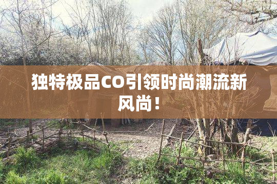 独特极品CO引领时尚潮流新风尚！