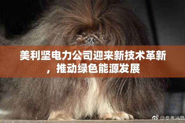 美利坚电力公司迎来新技术革新，推动绿色能源发展