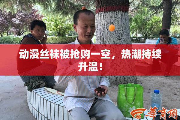 动漫丝袜被抢购一空，热潮持续升温！
