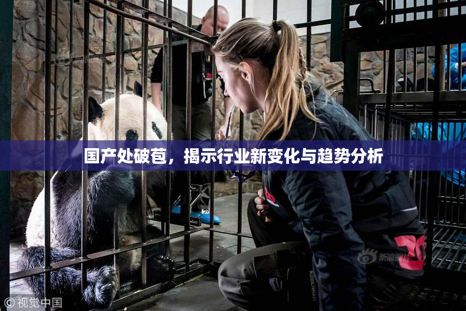 国产处破苞，揭示行业新变化与趋势分析
