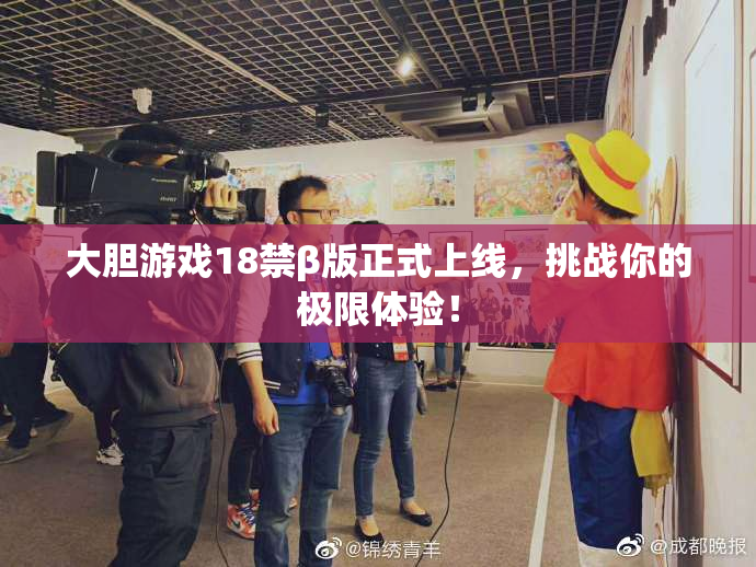 大胆游戏18禁β版正式上线，挑战你的极限体验！