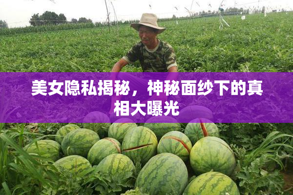 美女隐私揭秘，神秘面纱下的真相大曝光