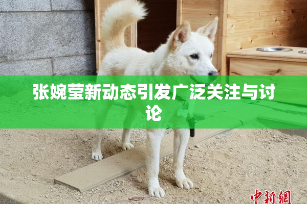 张婉莹新动态引发广泛关注与讨论
