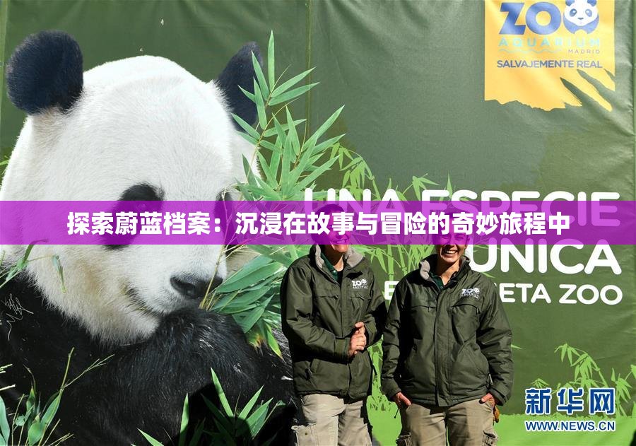 探索蔚蓝档案：沉浸在故事与冒险的奇妙旅程中