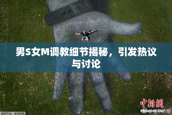男S女M调教细节揭秘，引发热议与讨论