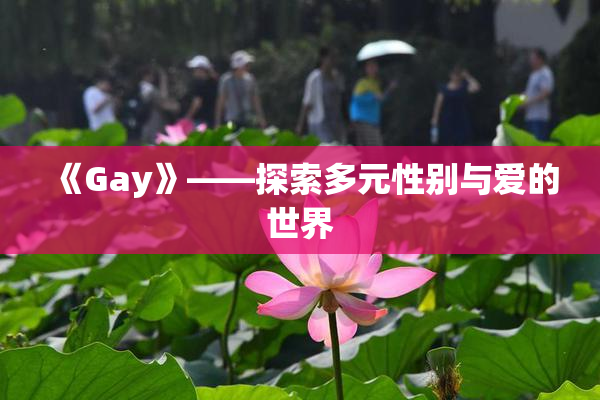《Gay》——探索多元性别与爱的世界