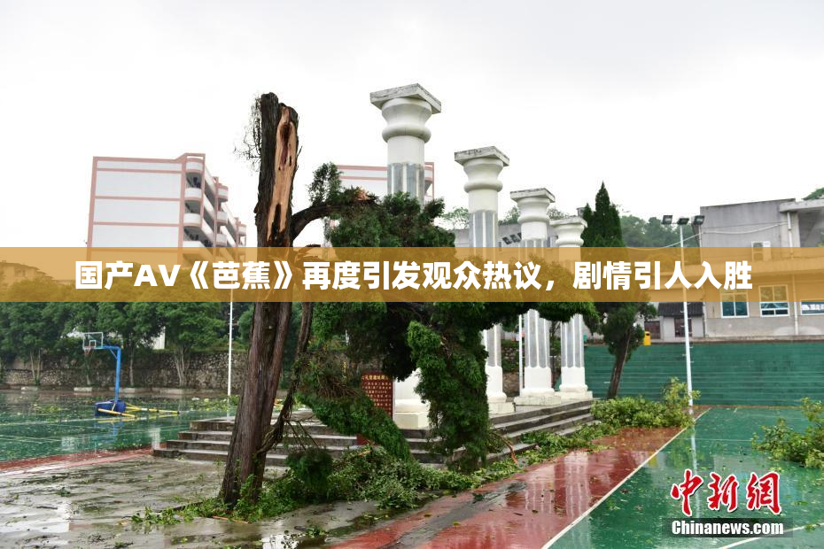 国产AV《芭蕉》再度引发观众热议，剧情引人入胜