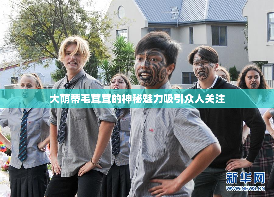 大荫蒂毛茸茸的神秘魅力吸引众人关注