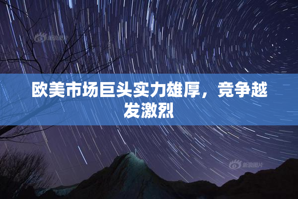 欧美市场巨头实力雄厚，竞争越发激烈
