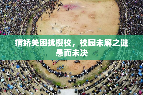 病娇关困扰樱校，校园未解之谜悬而未决