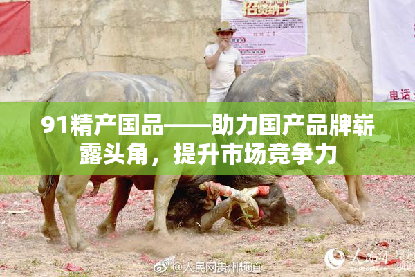 91精产国品——助力国产品牌崭露头角，提升市场竞争力