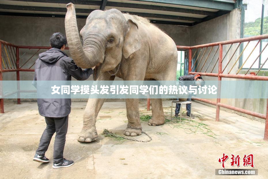 女同学摸头发引发同学们的热议与讨论