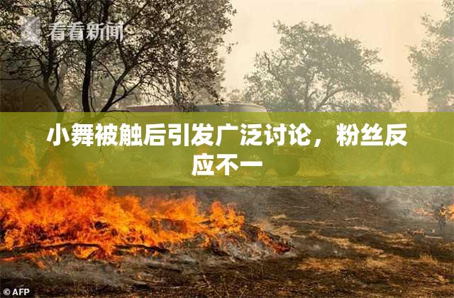 小舞被触后引发广泛讨论，粉丝反应不一
