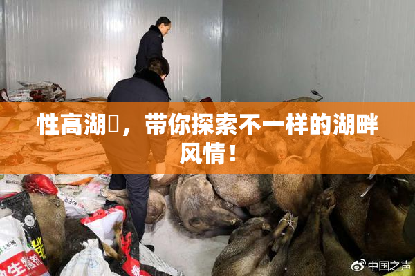 性高湖婬，带你探索不一样的湖畔风情！