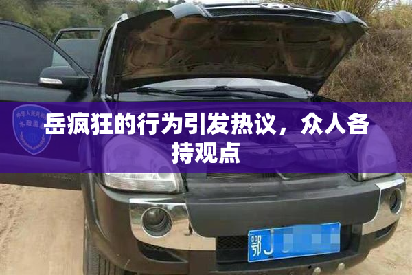 岳疯狂的行为引发热议，众人各持观点