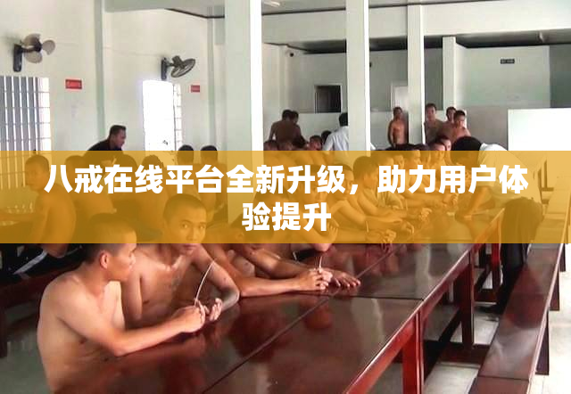八戒在线平台全新升级，助力用户体验提升