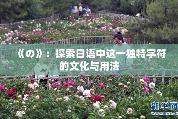 《の》：探索日语中这一独特字符的文化与用法