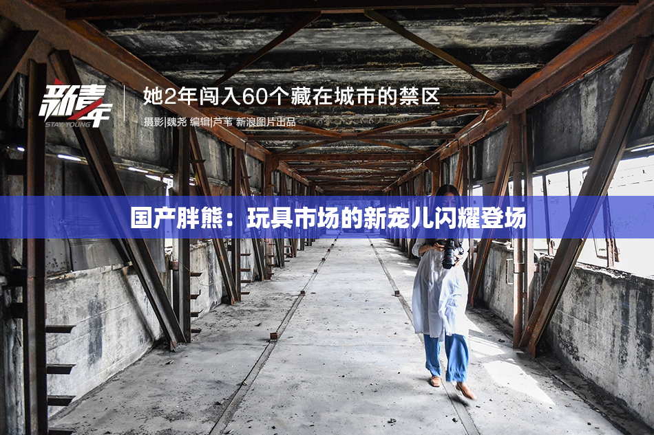 国产胖熊：玩具市场的新宠儿闪耀登场
