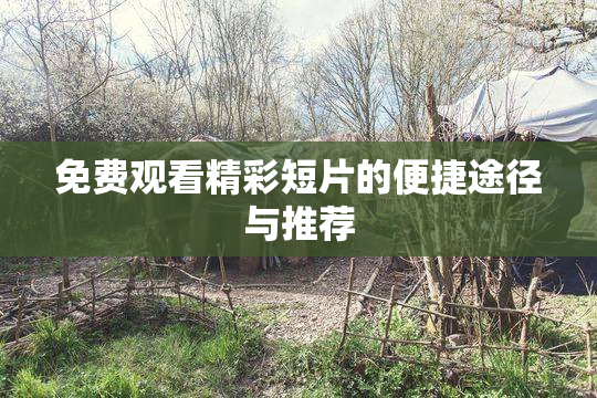 免费观看精彩短片的便捷途径与推荐