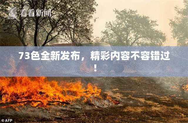 73色全新发布，精彩内容不容错过！