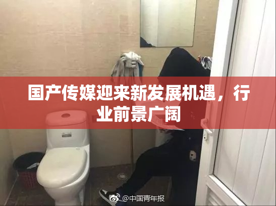 国产传媒迎来新发展机遇，行业前景广阔