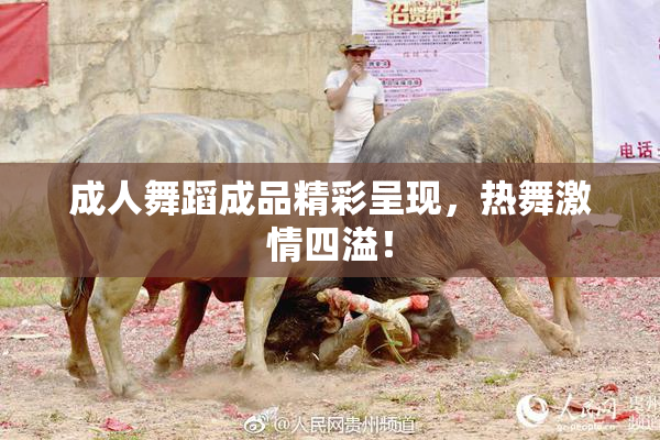 成人舞蹈成品精彩呈现，热舞激情四溢！