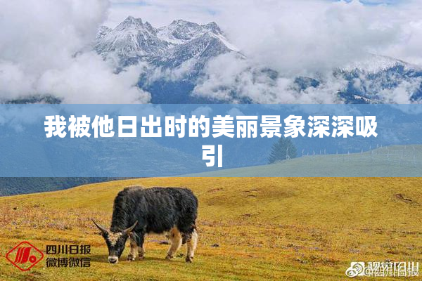 我被他日出时的美丽景象深深吸引