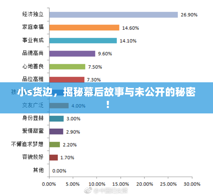 小s货边，揭秘幕后故事与未公开的秘密！
