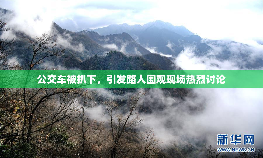 公交车被扒下，引发路人围观现场热烈讨论