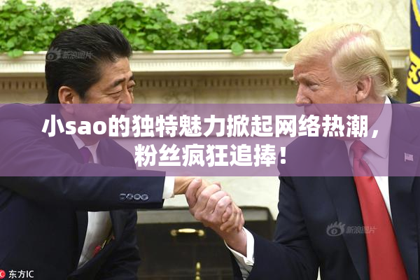 小sao的独特魅力掀起网络热潮，粉丝疯狂追捧！