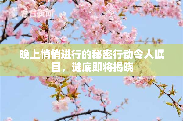晚上悄悄进行的秘密行动令人瞩目，谜底即将揭晓