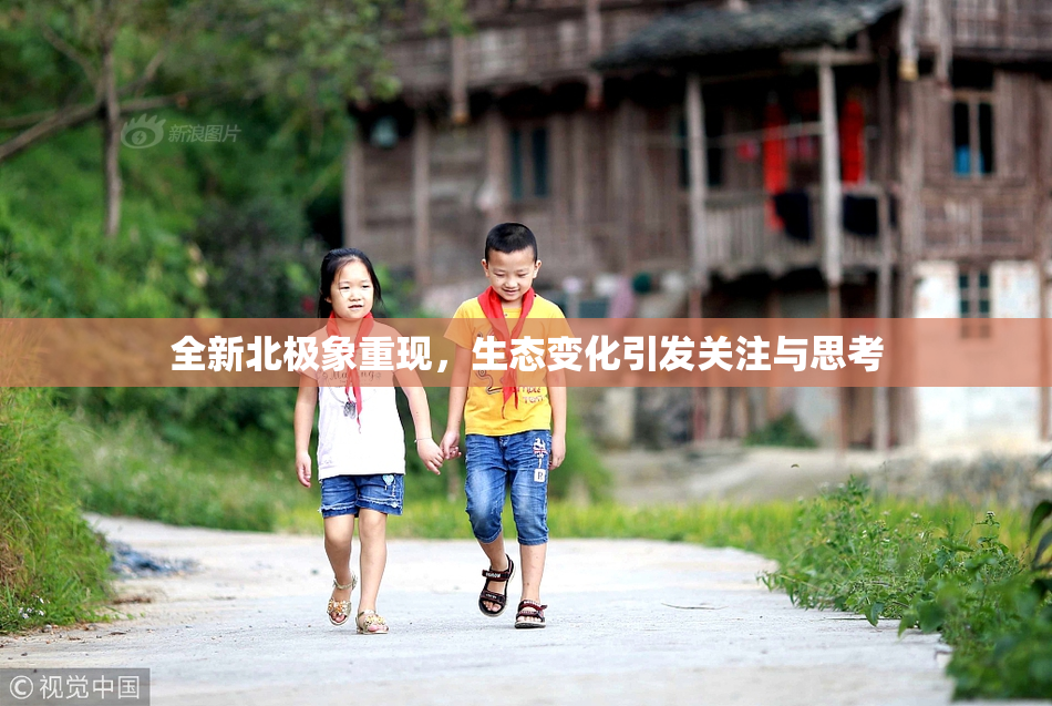 全新北极象重现，生态变化引发关注与思考