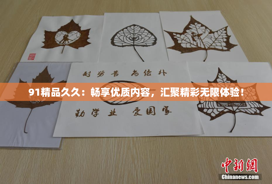 91精品久久：畅享优质内容，汇聚精彩无限体验！