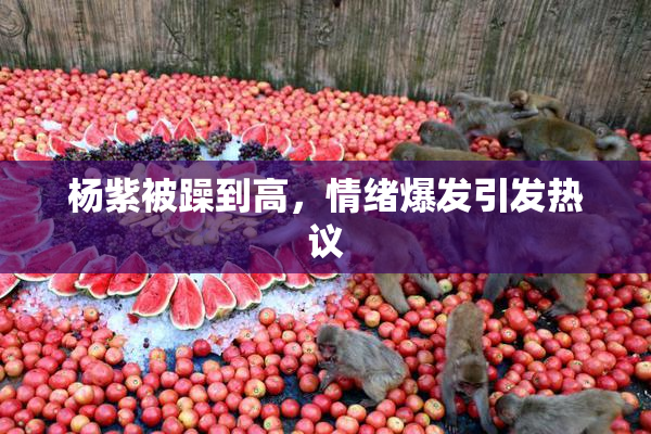 杨紫被躁到高，情绪爆发引发热议