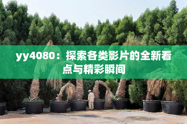 yy4080：探索各类影片的全新看点与精彩瞬间