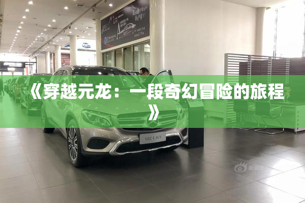 《穿越元龙：一段奇幻冒险的旅程》