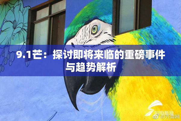 9.1芒：探讨即将来临的重磅事件与趋势解析