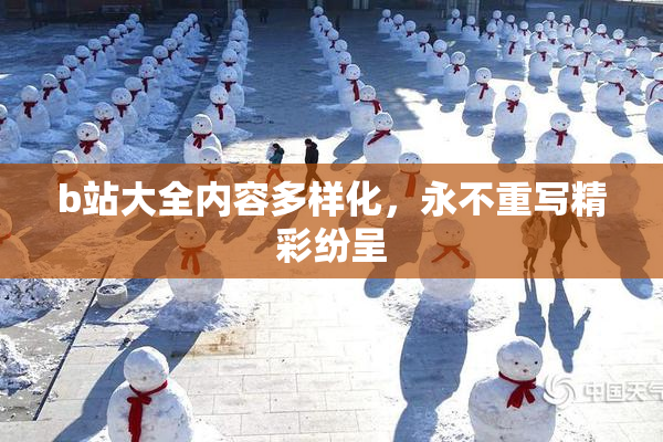 b站大全内容多样化，永不重写精彩纷呈